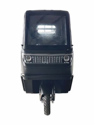 Opcional 1000/1200/2000/3000W Triciclos Elétricos para Família 3 Rodas E-Bike e Pedicab
