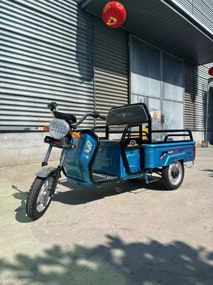 Custom Farm 1200W Triciclo Elétrico Motocicleta com sistema de travagem de tambor traseiro