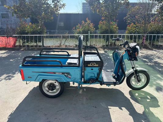 Custom Farm 1200W Triciclo Elétrico Motocicleta com sistema de travagem de tambor traseiro