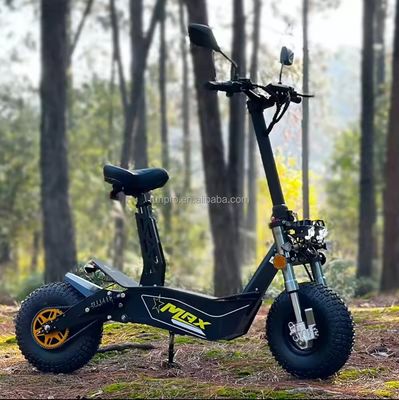 Off Road 2000W 3000W Mobilidade Scooter Elétrico COC CEE Motor sem escova 10 polegadas Hub Motor Scooter Elétrico Motor Bike com CE