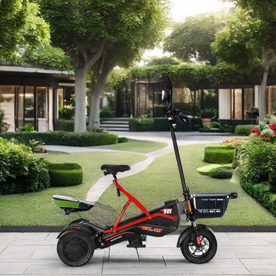 Scooter elétrico com dois motores sem escovas e estrutura de aço 48V500W*2 bateria de lítio