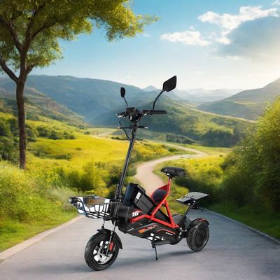 Scooter elétrico com dois motores sem escovas e estrutura de aço 48V500W*2 bateria de lítio