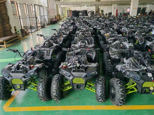 200CC ATV 250CC ATV Adultos ATV Quad Bike com Chain Drive e 1000W Electric Pull Start