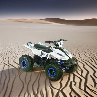 2024 Adolescentes 4x4 1000W 48V 1200W Acionado por eixo elétrico Quad Bike Elétrico Quad ATV