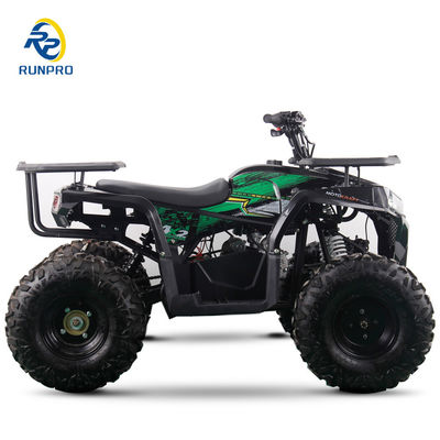 2WD todo-o-terreno duplo de quatro rodas Beach Buggy com 100-200kg capacidade de carga útil Perfeito