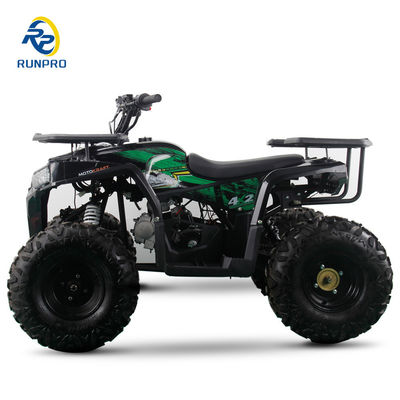 2WD todo-o-terreno duplo de quatro rodas Beach Buggy com 100-200kg capacidade de carga útil Perfeito