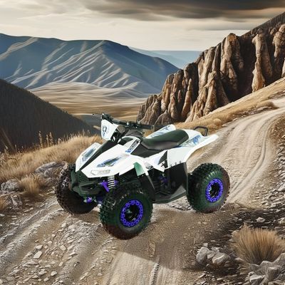 Kids Electric ATV Quad Bike com distância entre rodas 600-1000mm e tamanho geral 1250x760x800mm