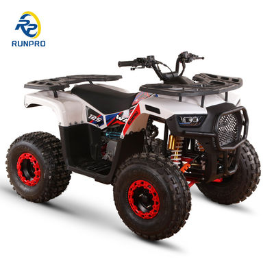 Frenos de disco hidráulico dianteiro e traseiro 125cc Farm ATV Quad com rodas 19 * 7-8/18 * 9,5-8