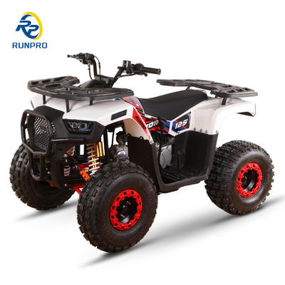 Frenos de disco hidráulico dianteiro e traseiro 125cc Farm ATV Quad com rodas 19 * 7-8/18 * 9,5-8