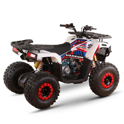 125cc ATVs movidos a gás para adultos Capacidade de alta classificação direta ≥25° Desplazamento 125cc