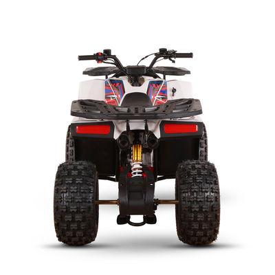 125cc ATVs movidos a gás para adultos Capacidade de alta classificação direta ≥25° Desplazamento 125cc