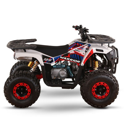 Todo-terreno 110cc 125cc Quad Bikes para Adultos Carga máxima 150kgs Transmissão de Acionamento de Cadeia