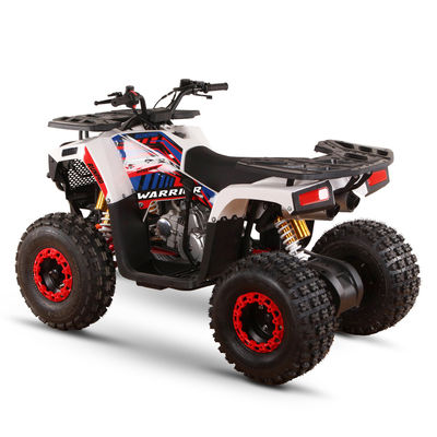 Todo-terreno 110cc 125cc Quad Bikes para Adultos Carga máxima 150kgs Transmissão de Acionamento de Cadeia