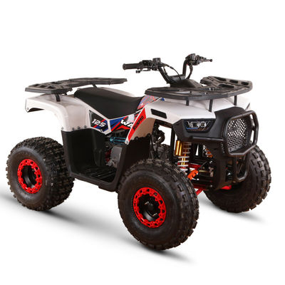 Todo-terreno 110cc 125cc Quad Bikes para Adultos Carga máxima 150kgs Transmissão de Acionamento de Cadeia