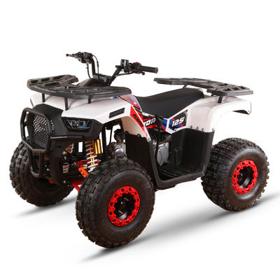 Todo-terreno 110cc 125cc Quad Bikes para Adultos Carga máxima 150kgs Transmissão de Acionamento de Cadeia