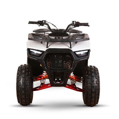 Todo-terreno 110cc 125cc Quad Bikes para Adultos Carga máxima 150kgs Transmissão de Acionamento de Cadeia