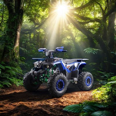 Potentes Quads ATV 125cc com combustível a gás com tipo de condução 2WD e características interessantes
