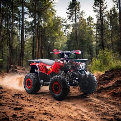 Potentes Quads ATV 125cc com combustível a gás com tipo de condução 2WD e características interessantes