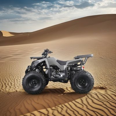 Potente ATV a gás de 200cc para adultos Torque máximo de 40-60Nm e velocidade máxima de 75km/h