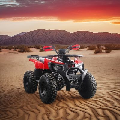 Potente ATV a gás de 200cc para adultos Torque máximo de 40-60Nm e velocidade máxima de 75km/h