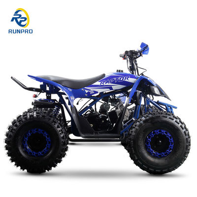 125cc Disposição Electric Start ATV com suspensão traseira e transmissão automática