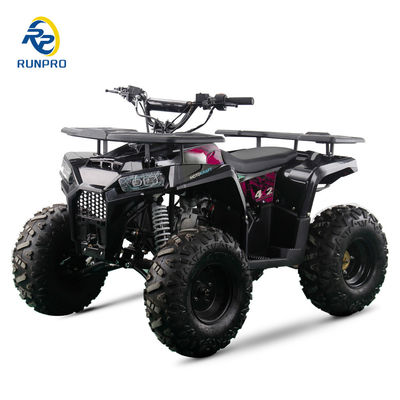Certificado CE 125cc 4 tempos de gasolina Buggy de praia com rodas de 8 polegadas e 150 kg de carga máxima