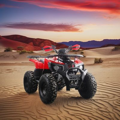 2024 Runpro 10 polegadas pneu de aço 200cc ATV com luz LED libertar o seu aventureiro interior