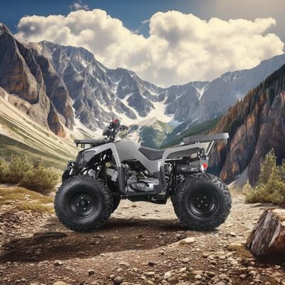 2024 Runpro 10 polegadas pneu de aço 200cc ATV com luz LED libertar o seu aventureiro interior
