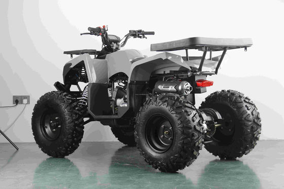 Off-road 10 polegadas Pneus 200CC 250CC Adultos quad ATV com arranque automático e Chain Drive