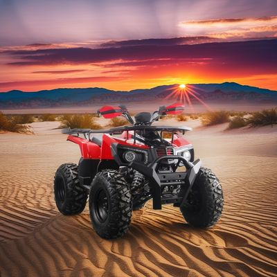 Off-road 10 polegadas Pneus 200CC 250CC Adultos quad ATV com arranque automático e Chain Drive