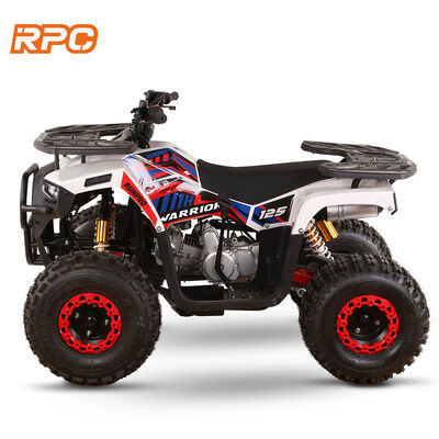 110cc 125cc 150cc 4 tempos motorizados a gás quad bike ATV para crianças para transmissão automática