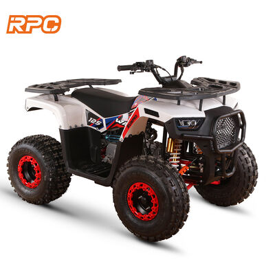 110cc 125cc 150cc 4 tempos motorizados a gás quad bike ATV para crianças para transmissão automática