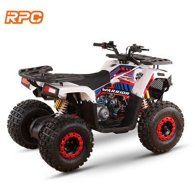 110cc 125cc 150cc 4 tempos motorizados a gás quad bike ATV para crianças para transmissão automática