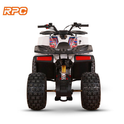 110cc 125cc 150cc 4 tempos motorizados a gás quad bike ATV para crianças para transmissão automática