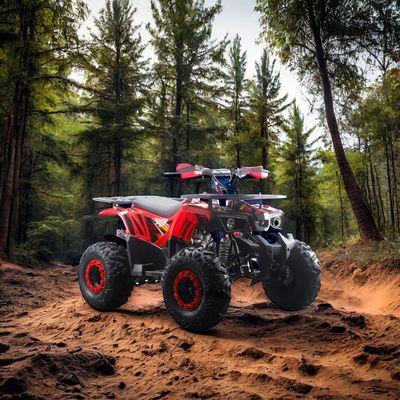 ATV infantil de 125 cc com transmissão automática e bloqueio diferencial não equipado