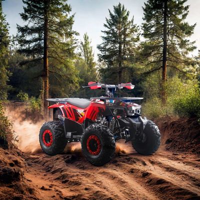 125cc ATV para crianças RunPro 2024 Electric Start Farm Quad Bike Chain Drive CE Automático