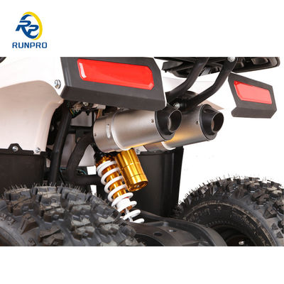 110cc Sirus 125cc ATV Quad Bike com capacidade de carga útil 100-200kg RUNPRO Professional 2024
