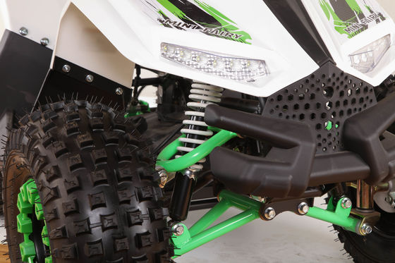 1200W Electric ATV 4-Wheel Quad Bike com motor de acionamento de eixo e design de roda grande