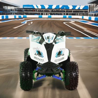 1200W Electric ATV 4-Wheel Quad Bike com motor de acionamento de eixo e design de roda grande