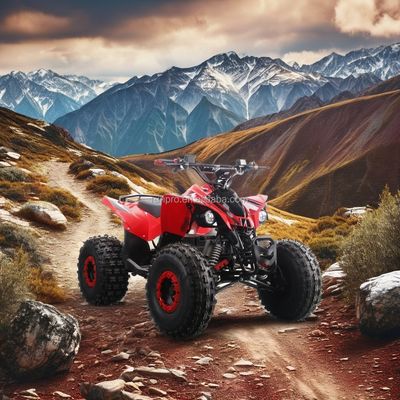 Electric Kids ATV Quad Bike certificado CE com motor de 1500W e bateria de chumbo-ácido de 48V12AH