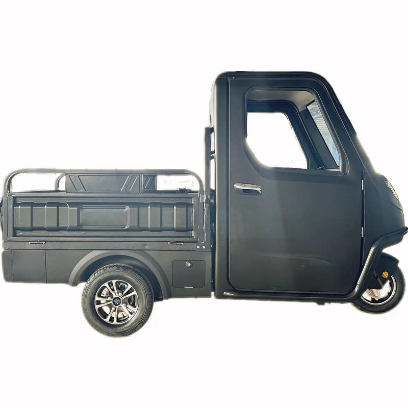 Opcional 1000/1200/2000/3000W Triciclos Elétricos para Família 3 Rodas E-Bike e Pedicab