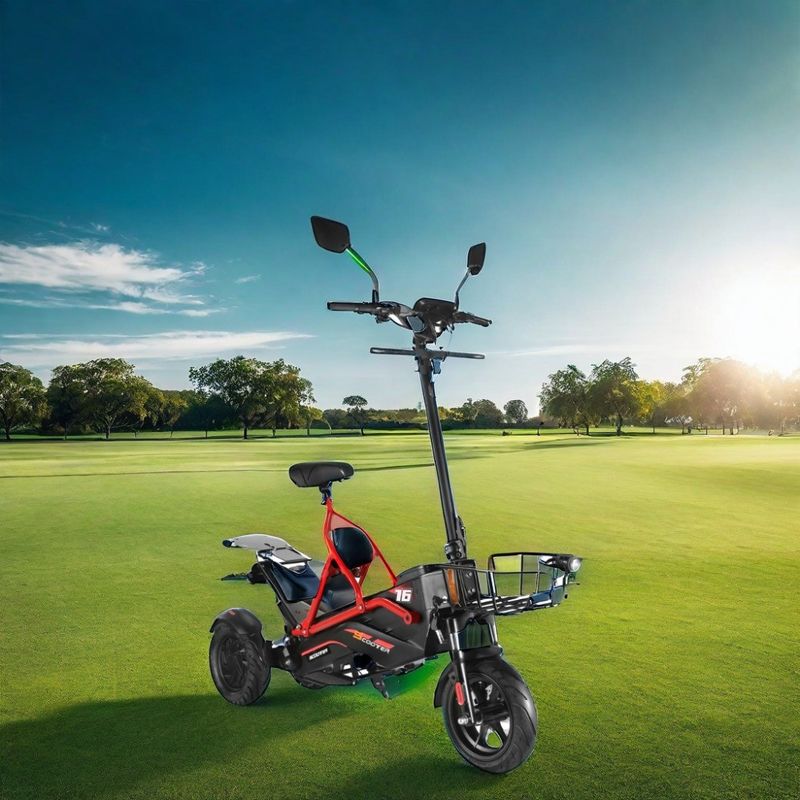 Scooter elétrico com dois motores sem escovas e estrutura de aço 48V500W*2 bateria de lítio