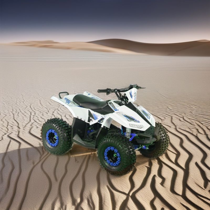 2024 Adolescentes 4x4 1000W 48V 1200W Acionado por eixo elétrico Quad Bike Elétrico Quad ATV
