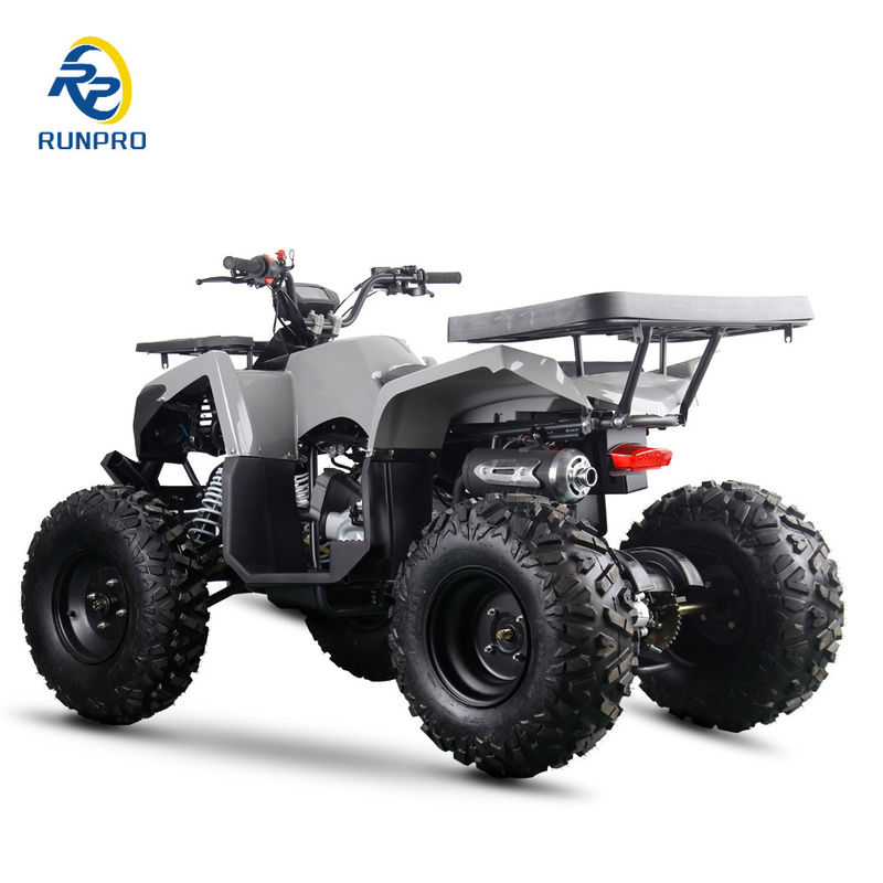 200cc 10 polegadas roda de aço 2WD ATV Off Road Quatro rodas motocicleta UTV Farm Motor Quad Bike