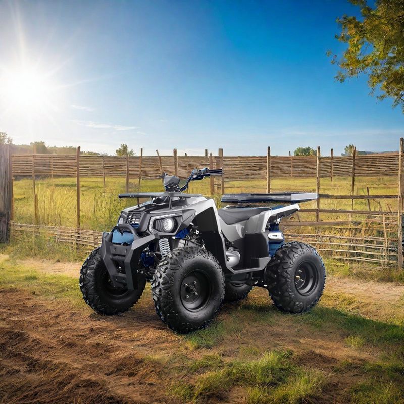 Potente ATV a gás de 200cc para adultos Torque máximo de 40-60Nm e velocidade máxima de 75km/h