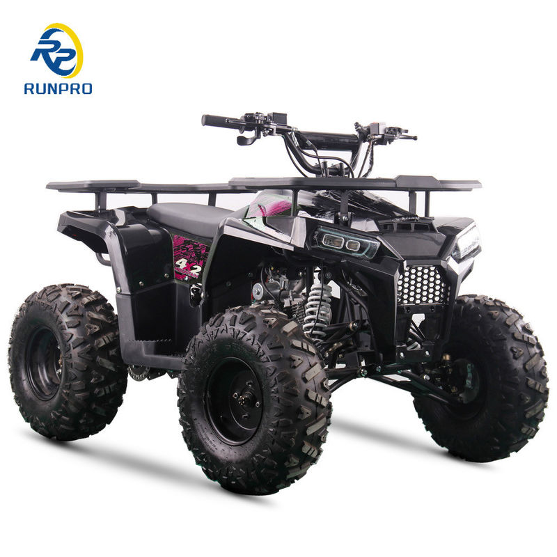 Certificado CE 125cc 4 tempos de gasolina Buggy de praia com rodas de 8 polegadas e 150 kg de carga máxima