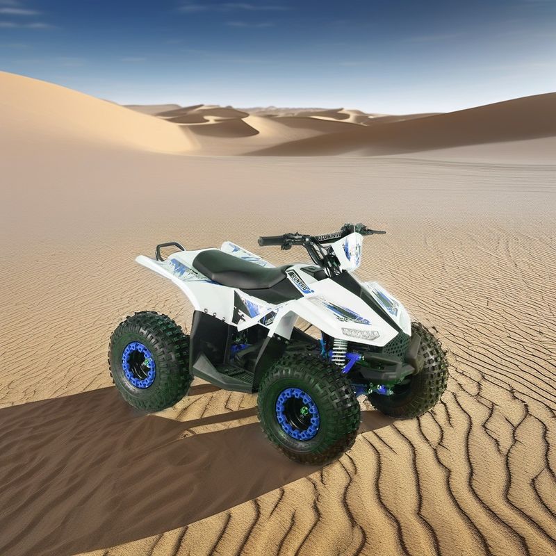 48V12AH bateria de chumbo-ácido RUNPRO 1200W motor de acionamento por eixo elétrico ATV de quatro rodas para agricultura