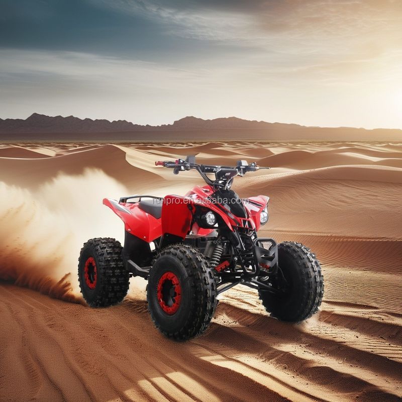 Electric Kids ATV Quad Bike certificado CE com motor de 1500W e bateria de chumbo-ácido de 48V12AH